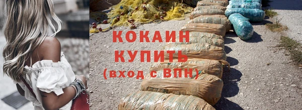 прущие грибы Михайловка