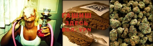 прущие грибы Михайловка