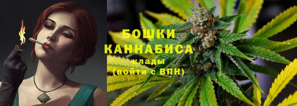 шишки Михайлов