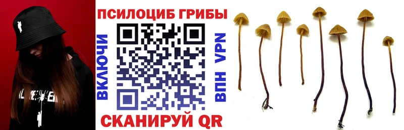 Галлюциногенные грибы мухоморы  где купить наркоту  Лиски 