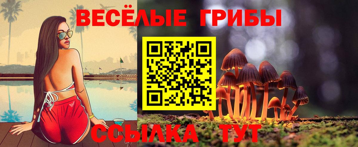 Псилоцибиновые грибы Psilocybe  Псилоцибиновые грибы MAGIC MUSHROOMS  Вход с VPN  Лиски 